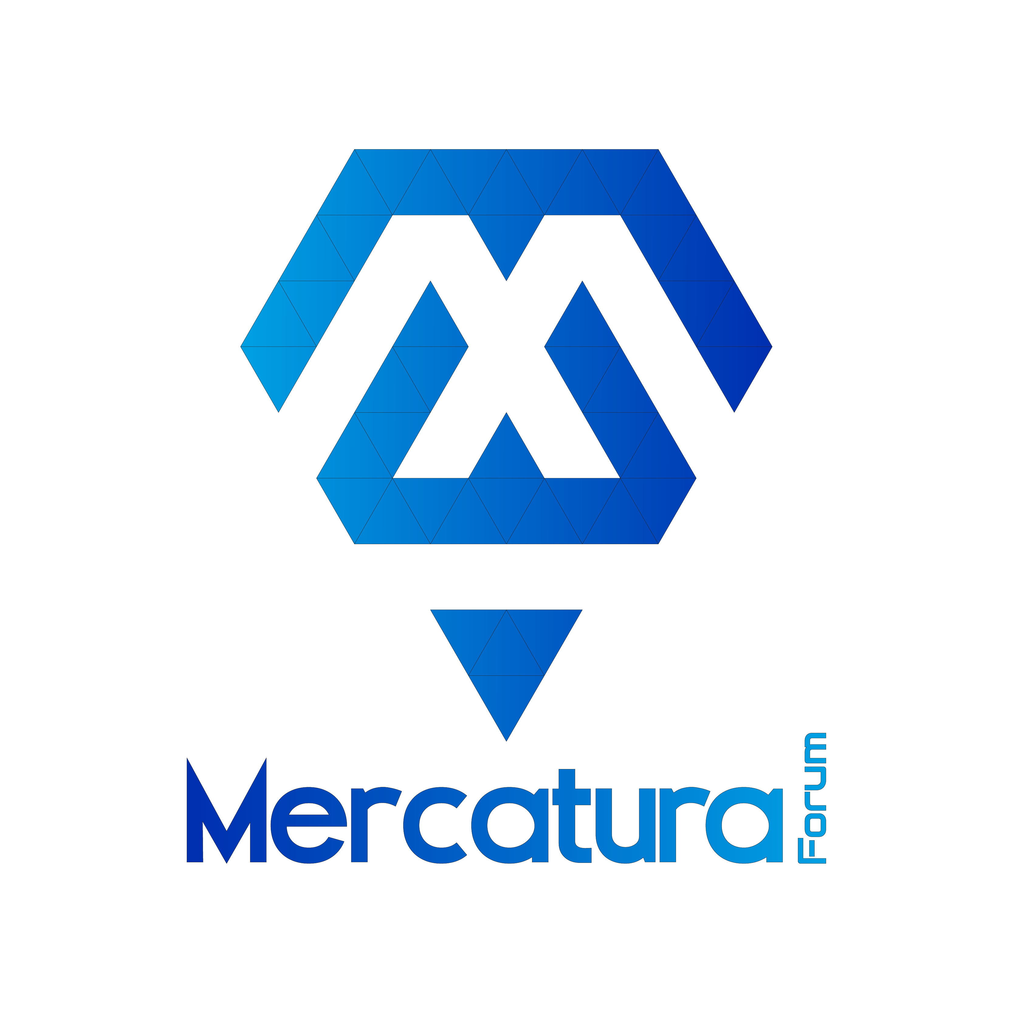 Mercatura Forum 